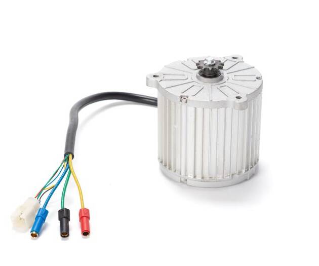 60V Motor