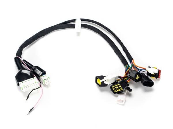 EBOX EBX Harness - EBOX Electric USA