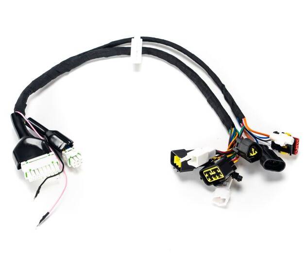 EBOX EBX Harness