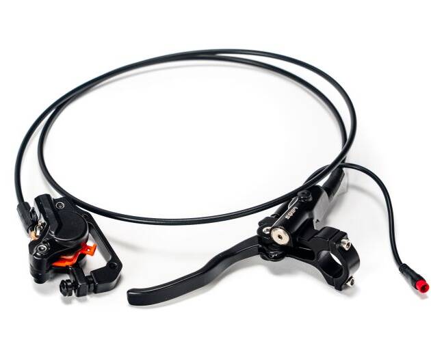 EBX Rear Brake System